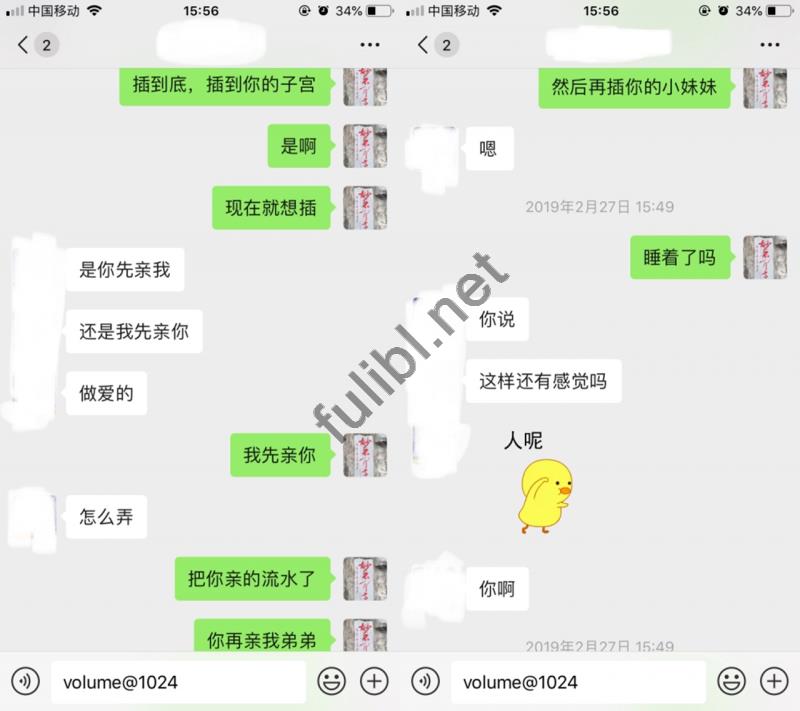 聊骚相亲认识的妹子 聊天实录[249P/40M]