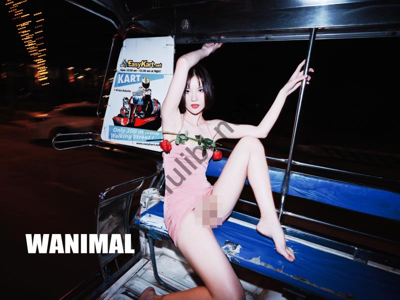 WANIMAL 2019年 -  阿朱 泰国旅拍作品集[163P+1V/4.01G]