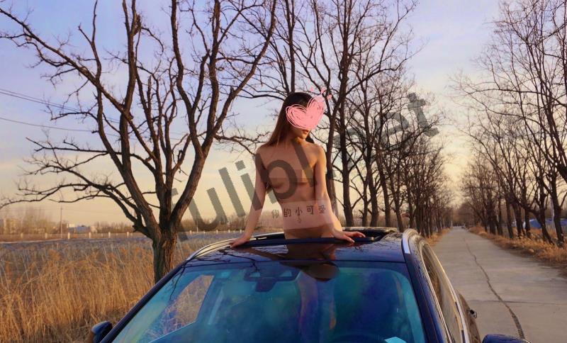 露出系网红@你的小可爱 尺度私拍合集[20P+3V/12M]