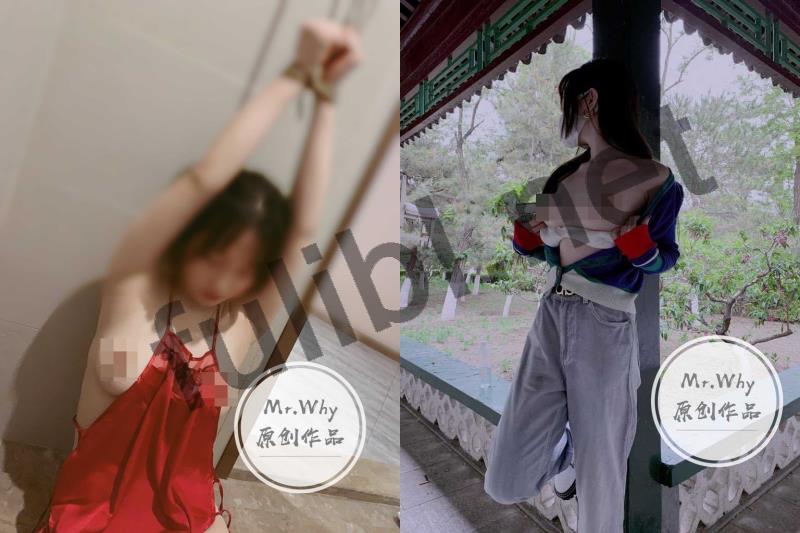 调教大佬@Mr.Why 尺度私拍视图合集[62P+20V/311M]