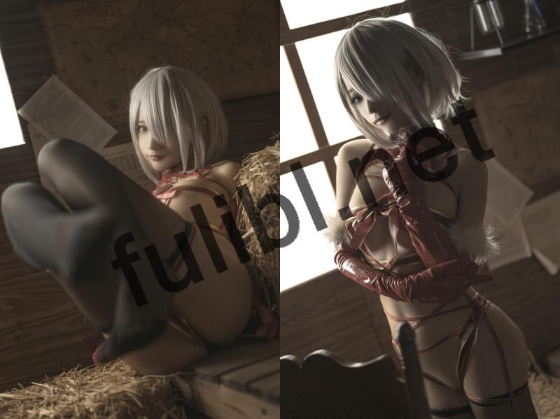 高质量coser@蠢沫沫 新作 2B圣诞+生日福利[95P/1.15G]