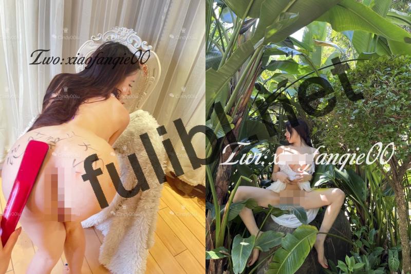 极品网红@小番茄 尺度私拍视图合集[31P+18V/72M]