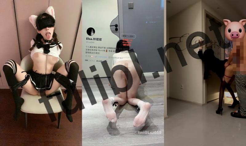 极品反差福利姬@Elsa.林绾绾 尺度私拍视图合集[85P+54V/3.28G]