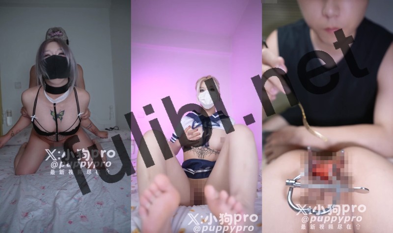 [重口警告]重度白虎抖m@puppypro(小狗pro)调教尺度作合集 第四弹[20V/6.02G]